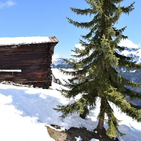 Orman Evi Sportlodge